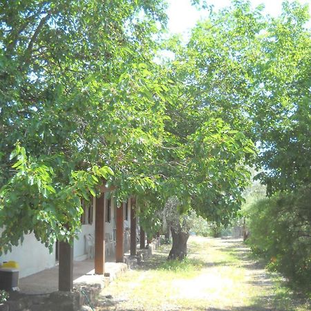 Agriturismo Su Tiresi Кала-Гононе Экстерьер фото