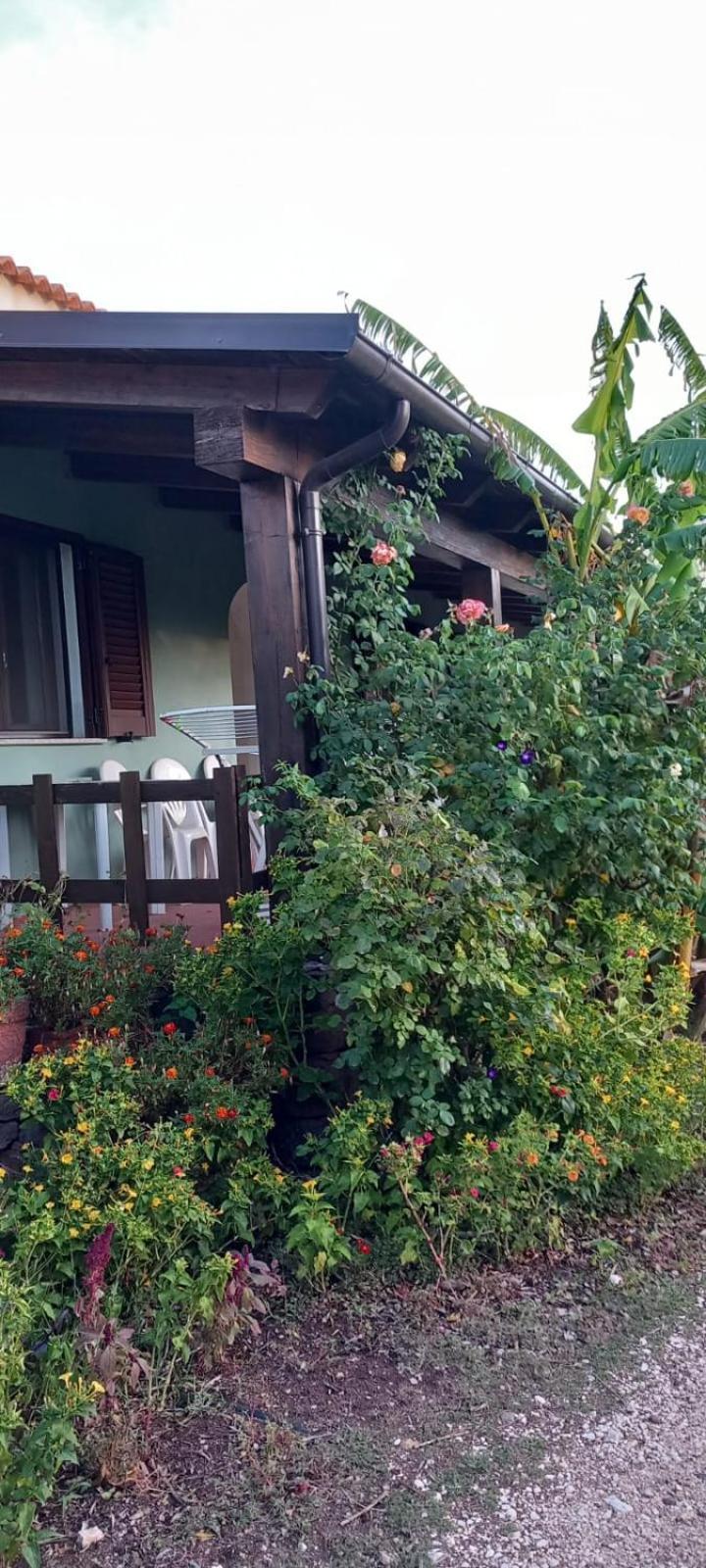 Agriturismo Su Tiresi Кала-Гононе Экстерьер фото