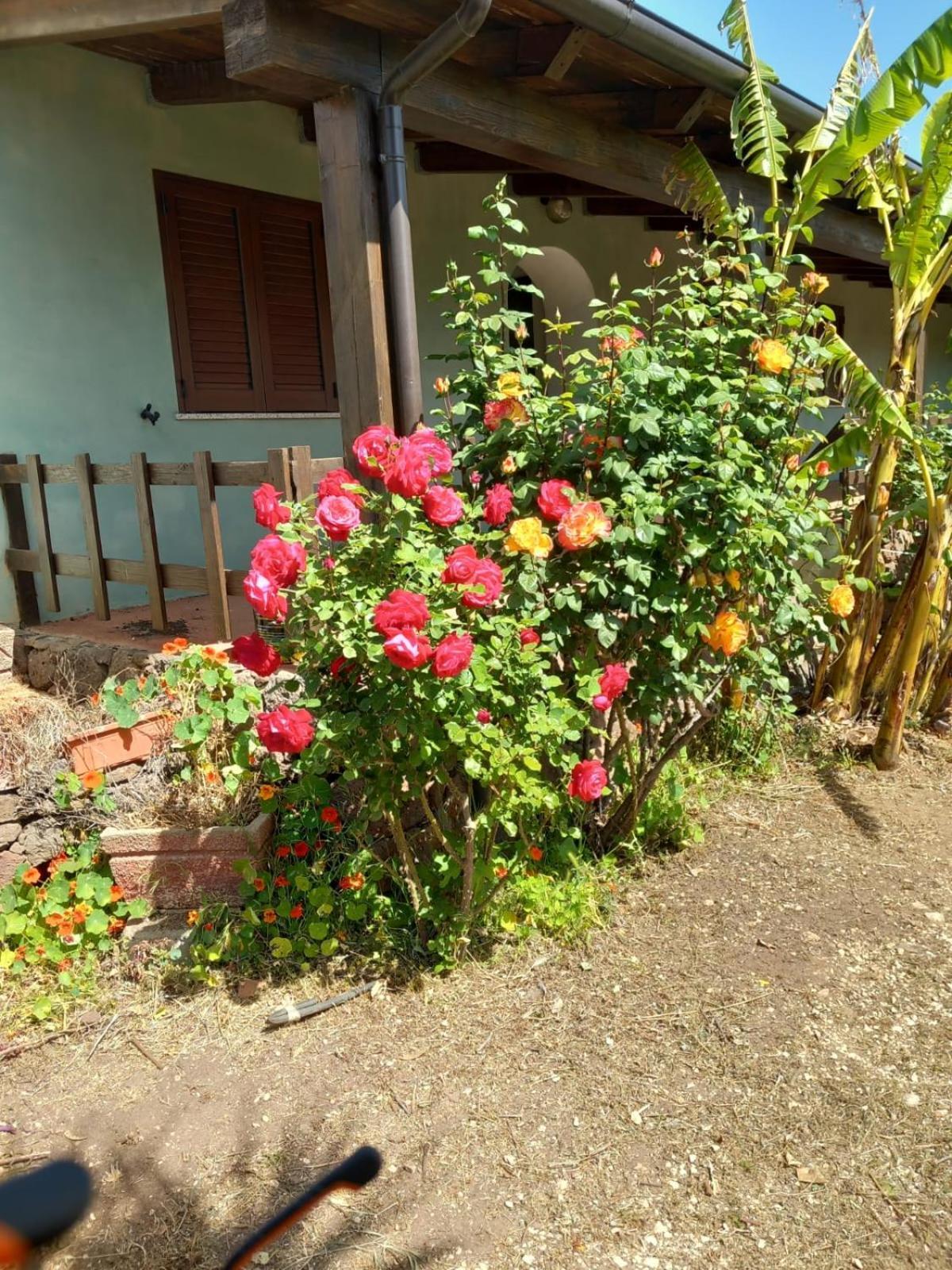 Agriturismo Su Tiresi Кала-Гононе Экстерьер фото