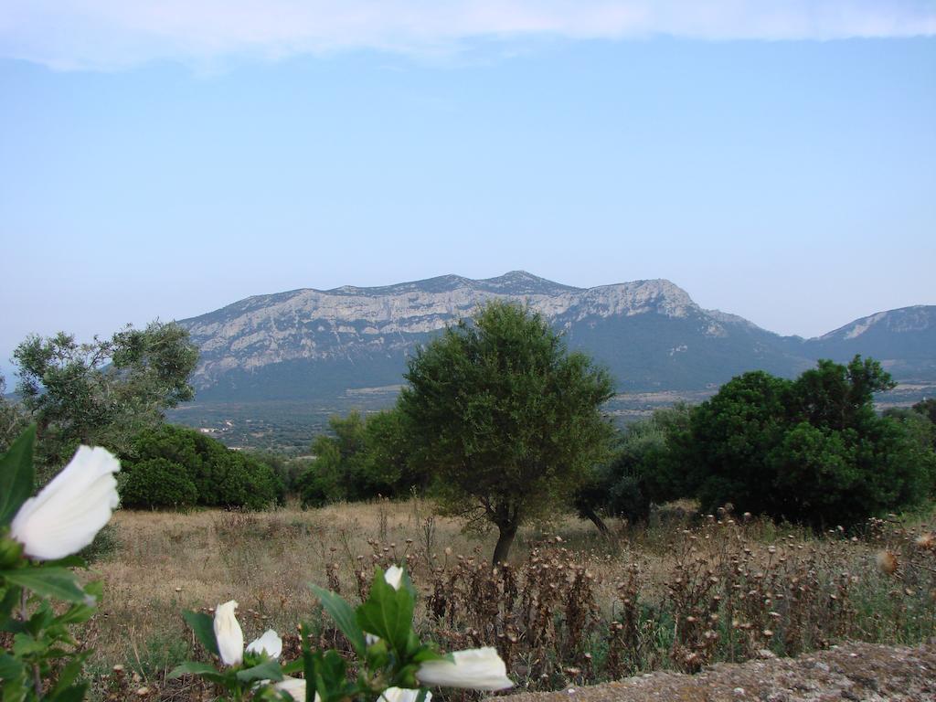 Agriturismo Su Tiresi Кала-Гононе Экстерьер фото