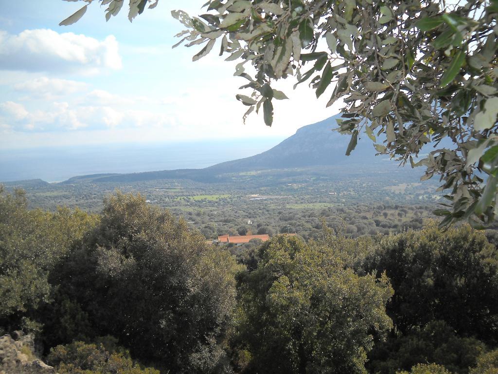 Agriturismo Su Tiresi Кала-Гононе Экстерьер фото