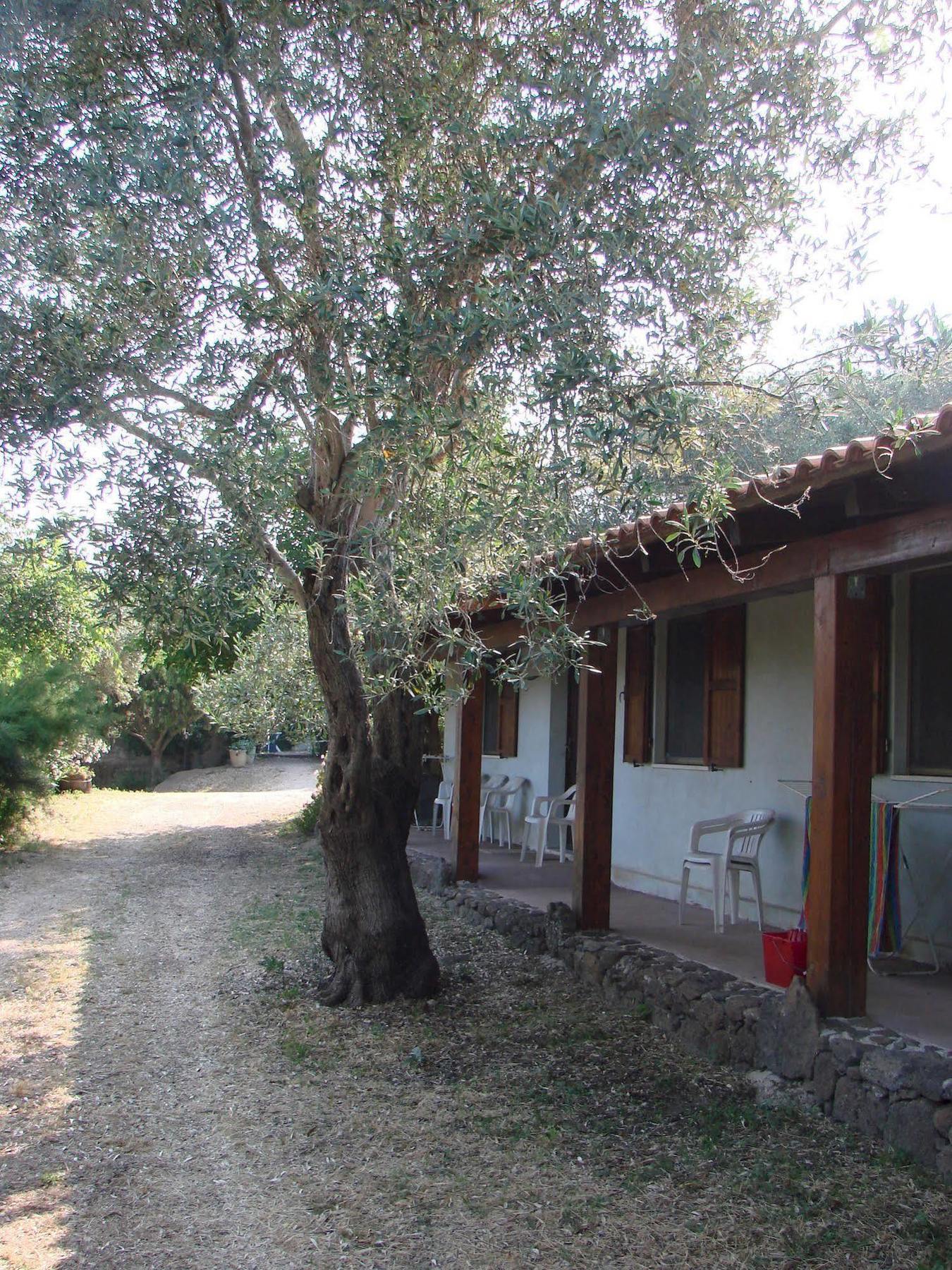 Agriturismo Su Tiresi Кала-Гононе Экстерьер фото