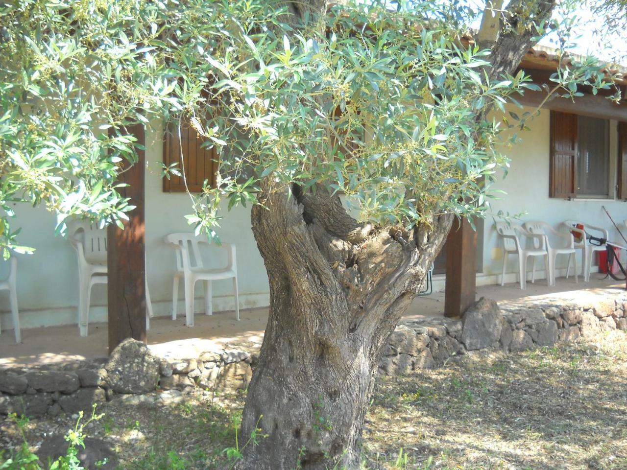 Agriturismo Su Tiresi Кала-Гононе Экстерьер фото