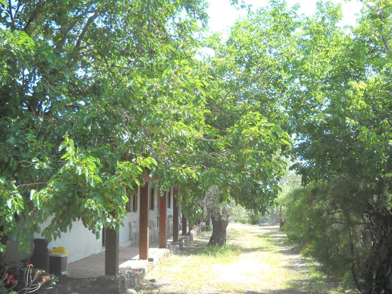 Agriturismo Su Tiresi Кала-Гононе Экстерьер фото